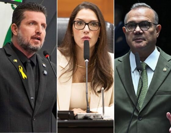 Ranalli sugere que Wellington ceda espaço a Janaina para disputar governo