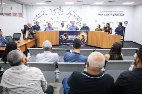 apicultura 1.jpg
