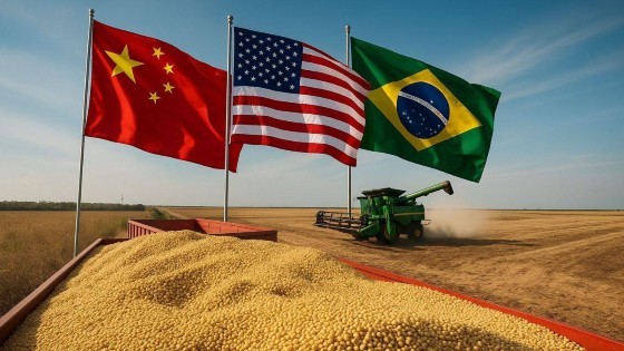 soja china.jpg