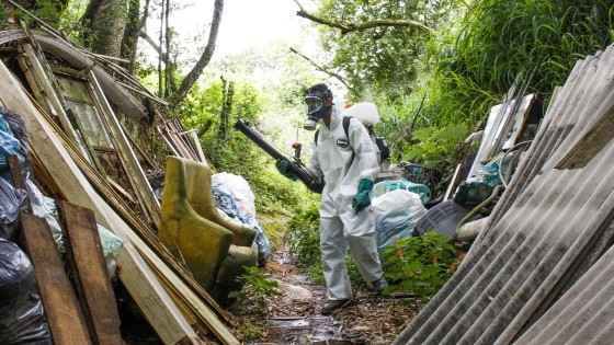 DENGUE MORTES.jpg