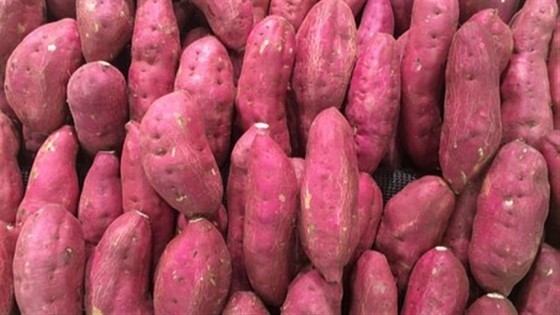 batata doce.jpg