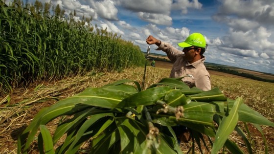 Fertilizantes 13.jpg