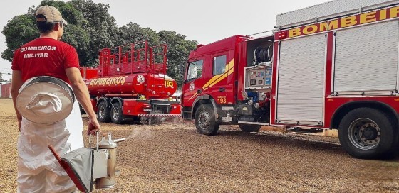 ABELHAS BOMBEIROS.jpeg