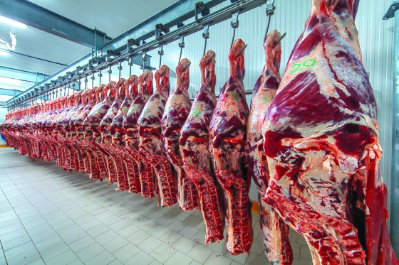 CARNE BOVINA EXPORTAÇÃO.jpg