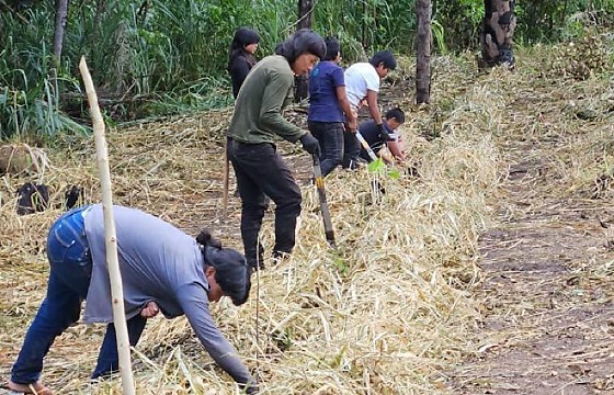 XAVANTES REGIÃO.jpeg