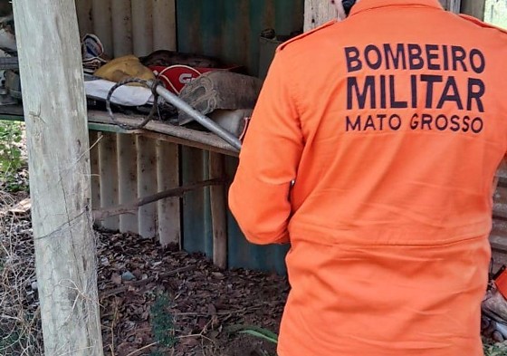 JIBOIA E BOMBEIROS.jpeg