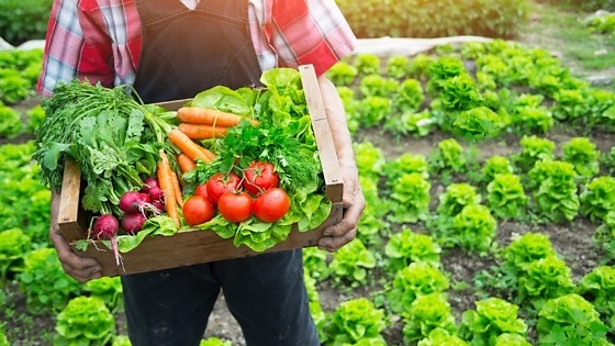 rastreabilidade 4.jpg