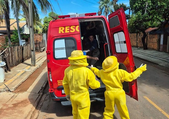 ENXAME DE ABELHAS SINOP.jpeg