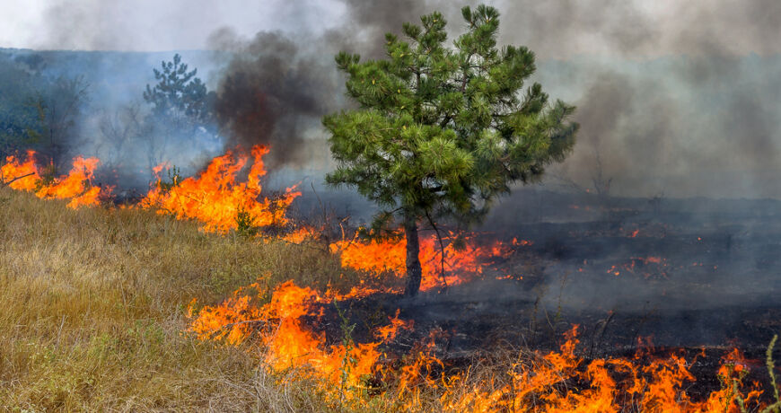O que é, quem paga, e por que importa na COP30