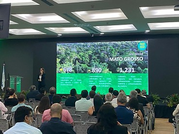 Modelo implementado em MT para garantir produção regular de madeira nativa é referência em nível nacional
