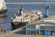 'Não devem sobreviver'