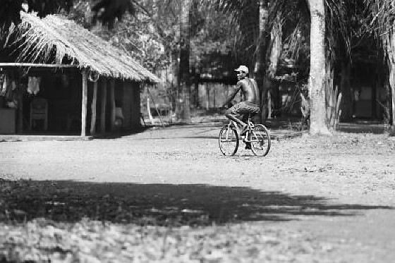 História e memória.JPG