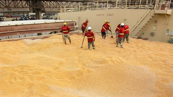 soja contaminada.jpg