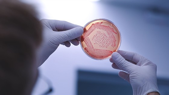 AVANÇO BIOLOGICO.jpg