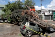 Rajadas passaram de 80 KM/H