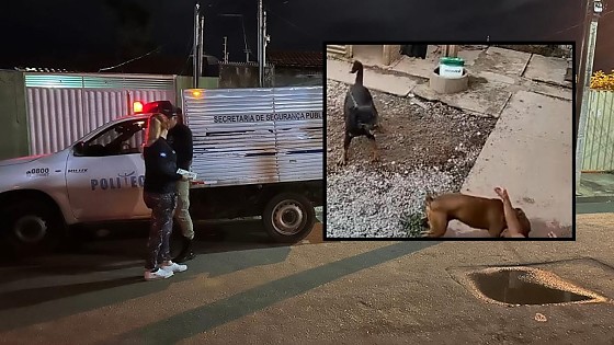 IDOSA CAI NO QUINTAL.jpg