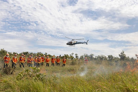 incendio_florestal (10).jpg