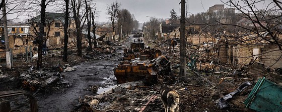 Guerra na Ucrania 12.jpg