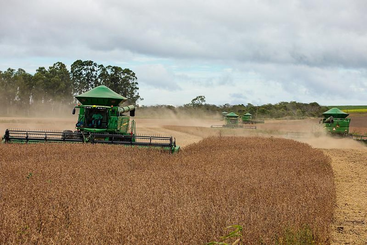 Queda das commodities e custos pressionam PIB do agronegócio no 1º trimestre de 2026