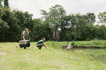 Sema investe mais de R$ 2 milhões em atendimento veterinário em 2025