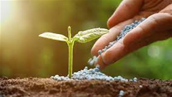 Fertilizantes 16.jpg