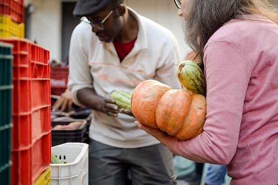 Estratégia cidade.jpg
