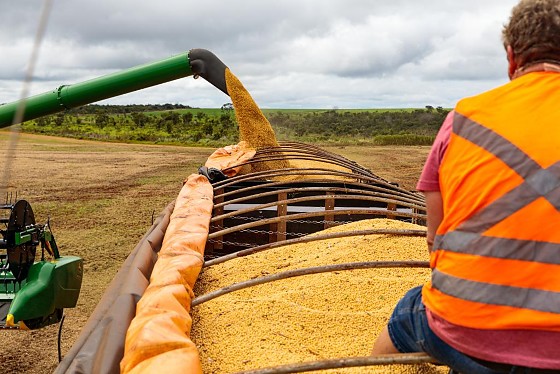 EXPORTAÇÕES MATO GROSSO.jpg
