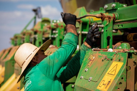 PRIMAVERA EMPREGOS.jpg