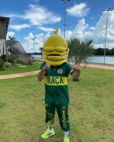 Juíza autoriza instrumentos e bandeiras da Raça Cuiabana em jogo neste domingo