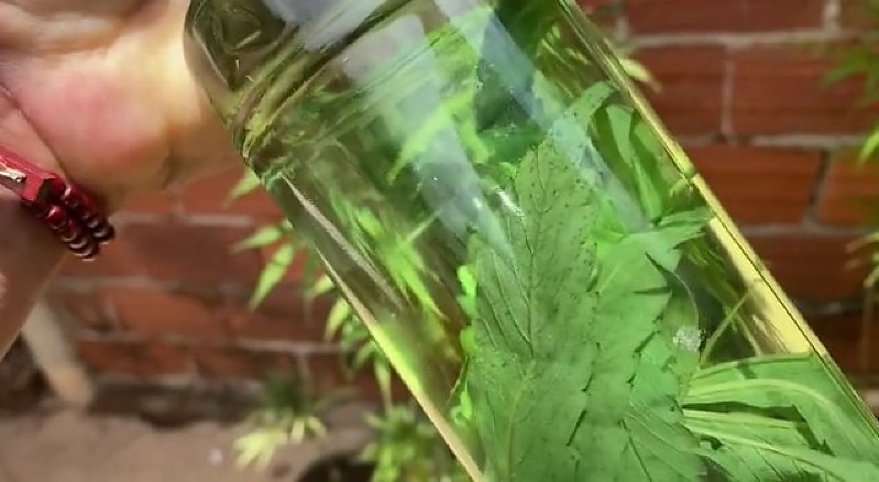 Homem é preso depois de consumir pinga com maconha em Paranatinga