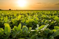 Prazo está acabando