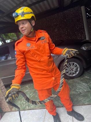 Cobra caninana de 2,5 metros é capturada em Lucas pelos Bombeiros