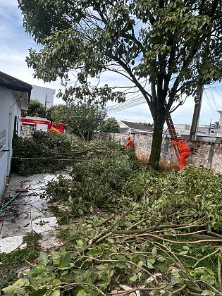 WhatsApp Image 2026-02-17 at 18.14.41.jpeg