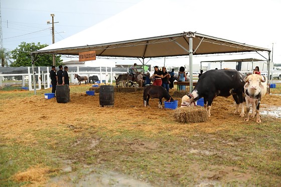 WhatsApp Image 2026-02-18 at 10.53.37.jpeg