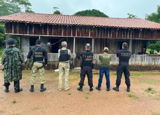 Duas pessoas foram presas em flagrante; armas, veículos e madeira foram apreendidos.