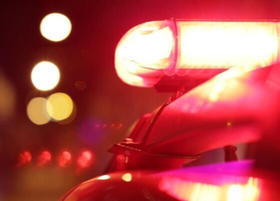 Imigrante foi obrigado a desbloquear celular e informar dados pessoais.