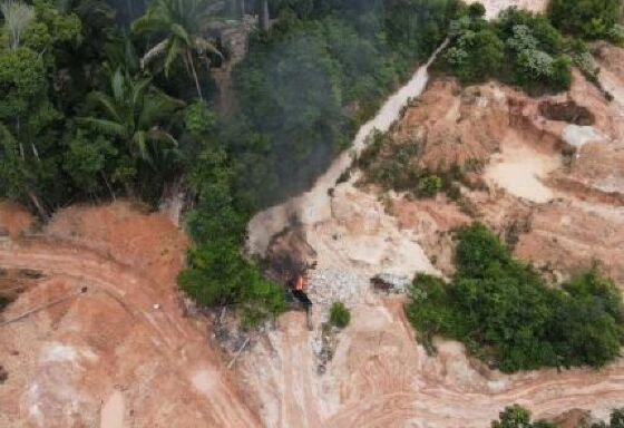 Polícia desarticula três garimpos ilegais em MT com apoio do Ministério Público