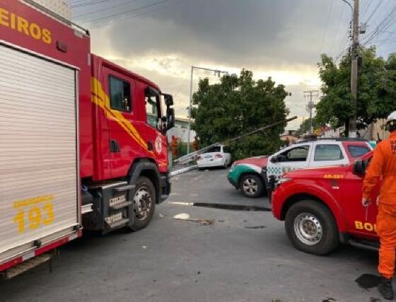 Chuva derruba árvore e poste em cima de carro em VG; veja vídeo