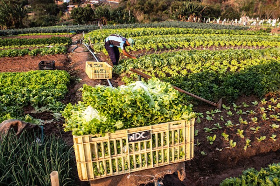 AGRICULTURA FAMILIAR.jpg