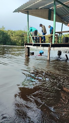 WhatsApp Image 2026-03-08 at 11.17.55.jpeg