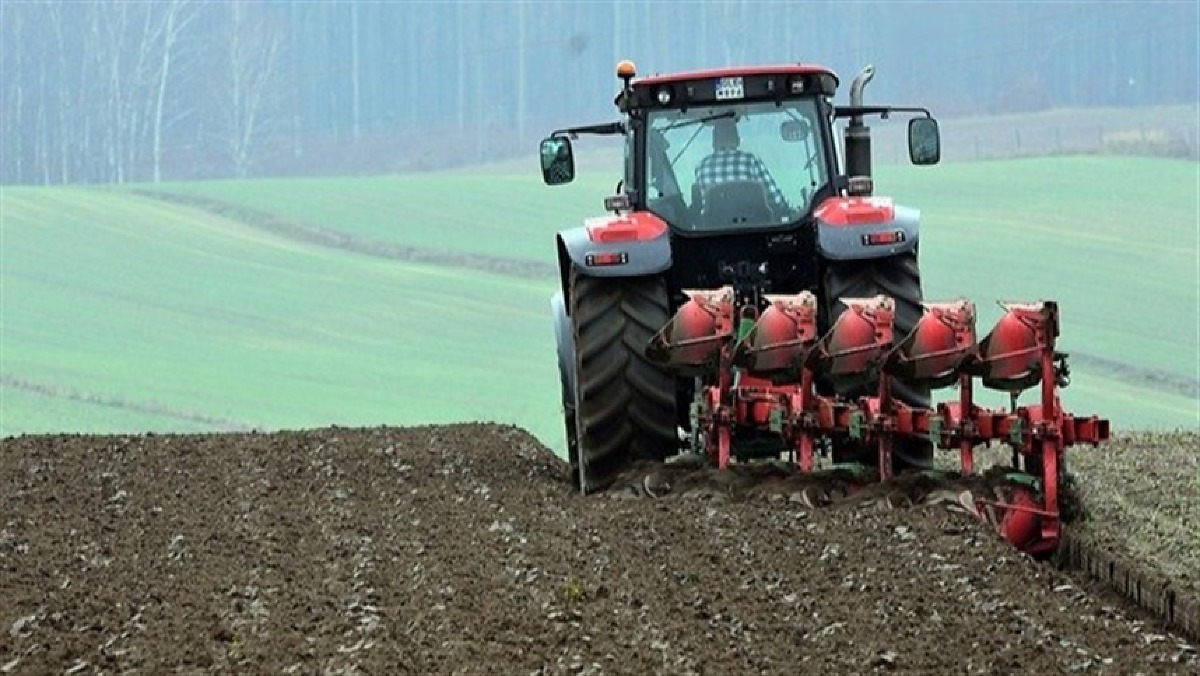 A Linha Tênue na Decisão do Produtor Rural