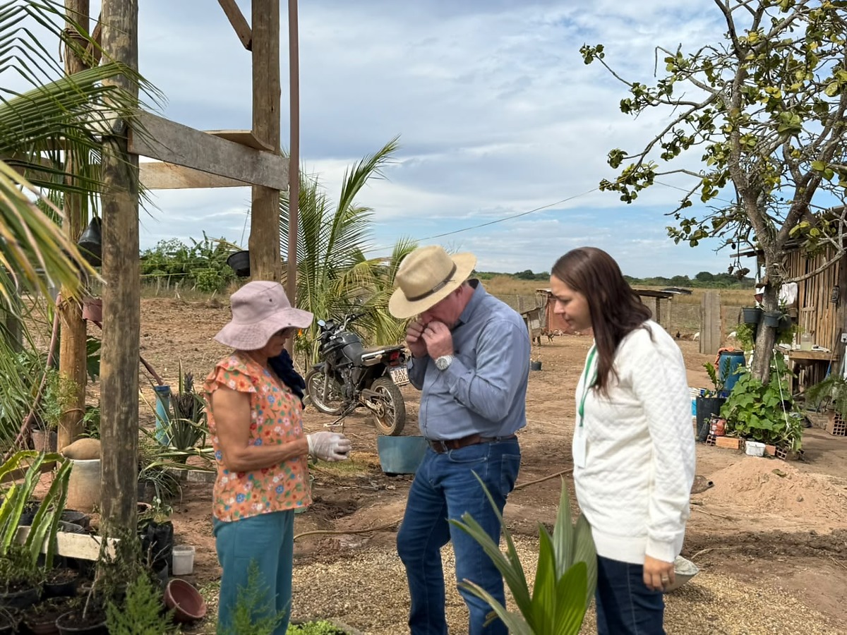 Câmara aprova criação do Fundo Municipal de Agricultura Familiar em Primavera do Leste