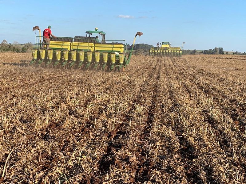 Com salto na semeadura da soja produtores de Mato Grosso ganham fôlego para a janela do milho 2ª safra